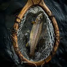 generellt fiskeutstyr