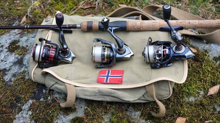 fiskesneller