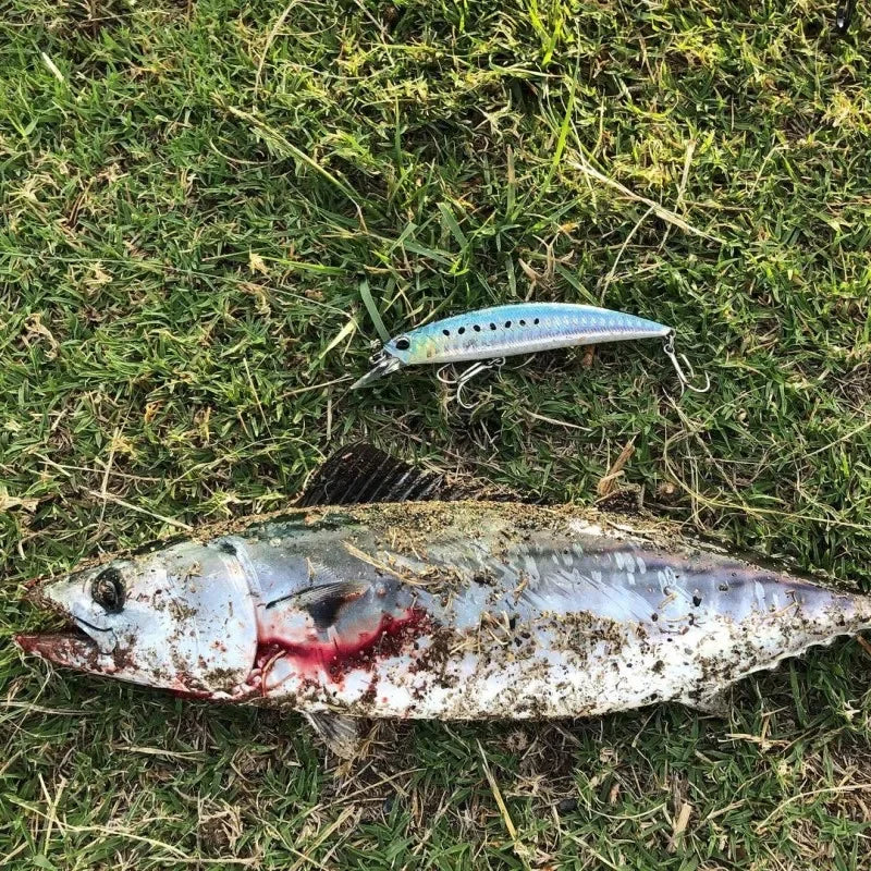 Realis Jerkbait 95Mm 15G Wobblers Duo Ryuki 95 Hard Bait Minnow Japan Sinking Baits Bass Fishing Lure for Fishing Pike